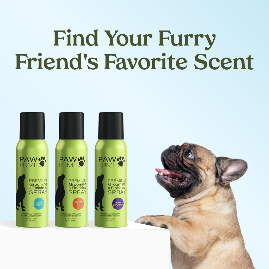 PAWFUME Dog Perfume Spray for Grooming, Blue Ribbon, 1-Pack