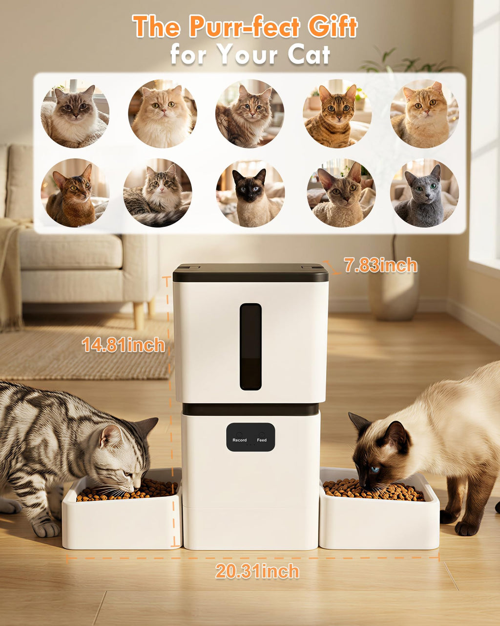 Yakry Automatic Cat Feeder for 2 Cats with Dual Bowls & Two HD Cameras