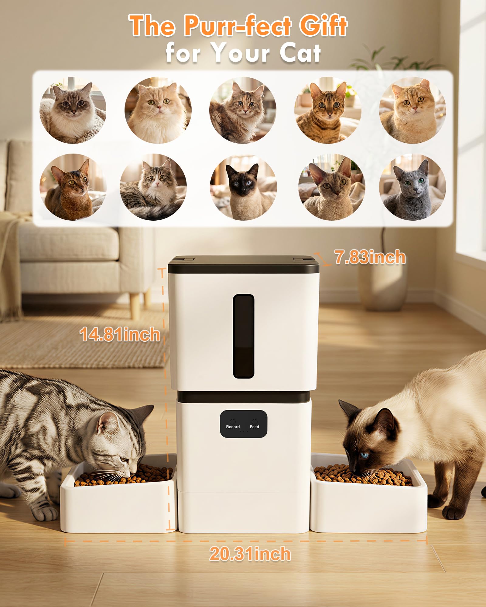 Yakry Automatic Cat Feeder for 2 Cats with Dual Bowls & Two HD Cameras