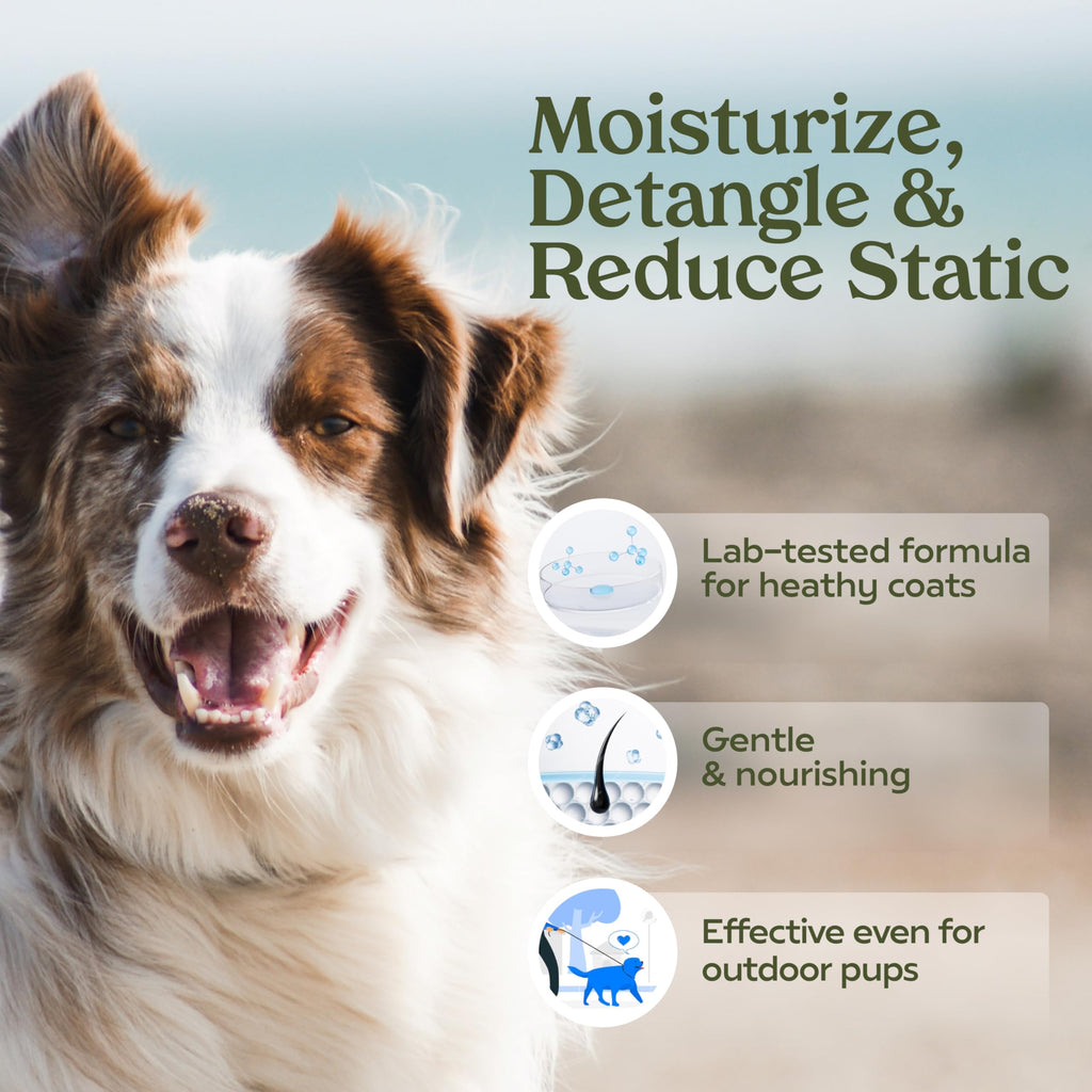 PAWFUME Dog Perfume Spray for Grooming, Blue Ribbon, 1-Pack