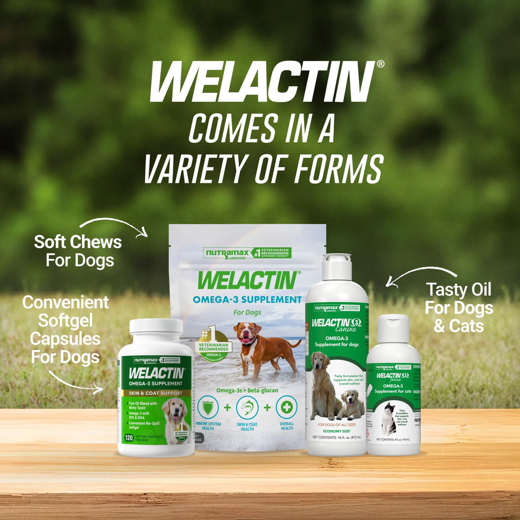 Nutramax Welactin Omega-3 Fish Oil Supplement for Dogs, Softgel Caps, 120ct