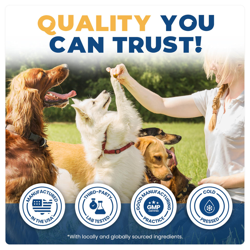 Jope Hip & Joint Supplement for Dogs Large, Medium, Small - Joint Chews w/UC-II® Collagen - Proven Better Than Glucosamine Chondroitin in Canine Health - Veterinarian Formulated, Omega 3 & Curcumin