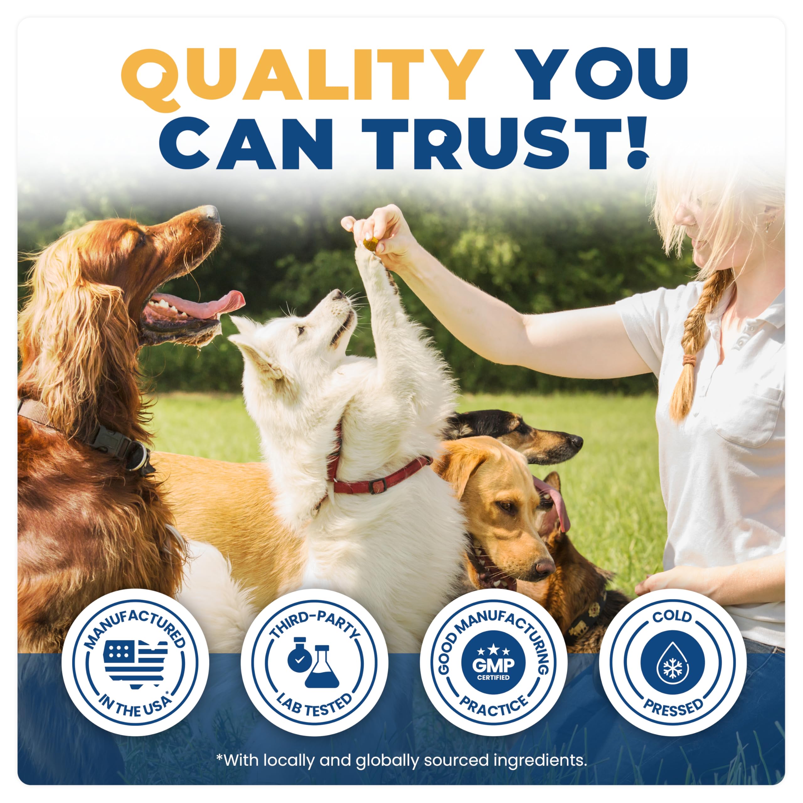 Jope Hip & Joint Supplement for Dogs Large, Medium, Small - Joint Chews w/UC-II® Collagen - Proven Better Than Glucosamine Chondroitin in Canine Health - Veterinarian Formulated, Omega 3 & Curcumin