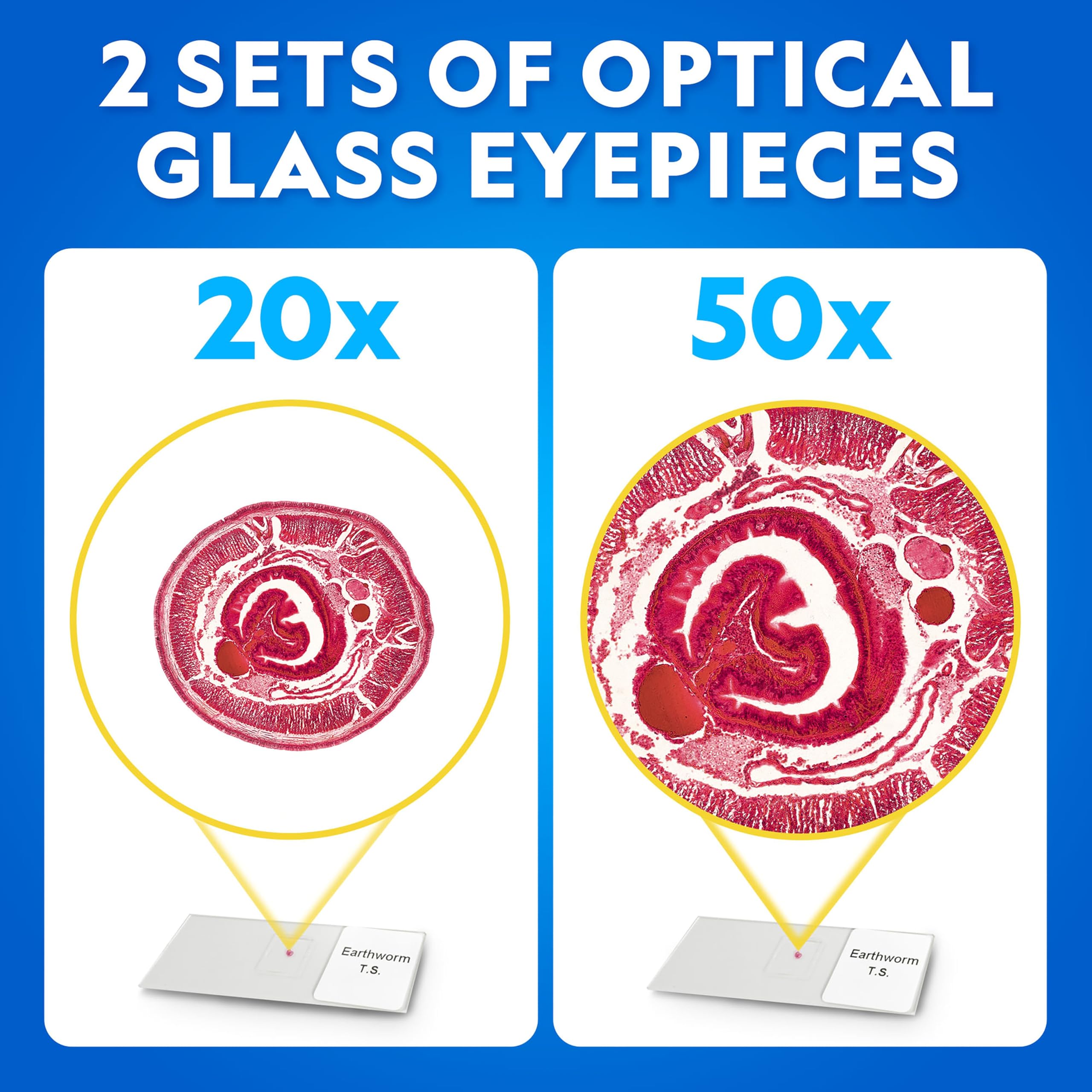 National Geographic Dual LED Microscope Science Kit for Kids Ages 8-12