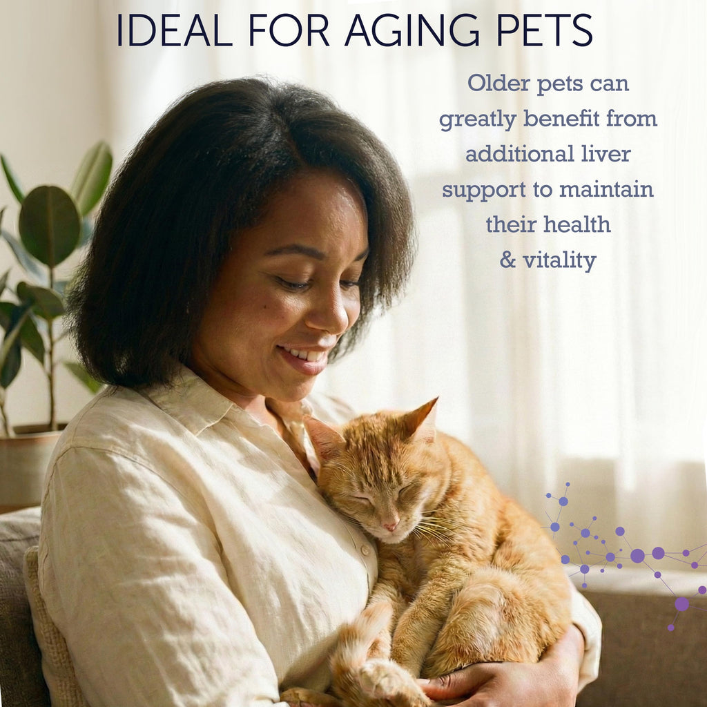 NuLife Hepato Support - Liver Support for Dogs & Cats with Silymarin - 90ct