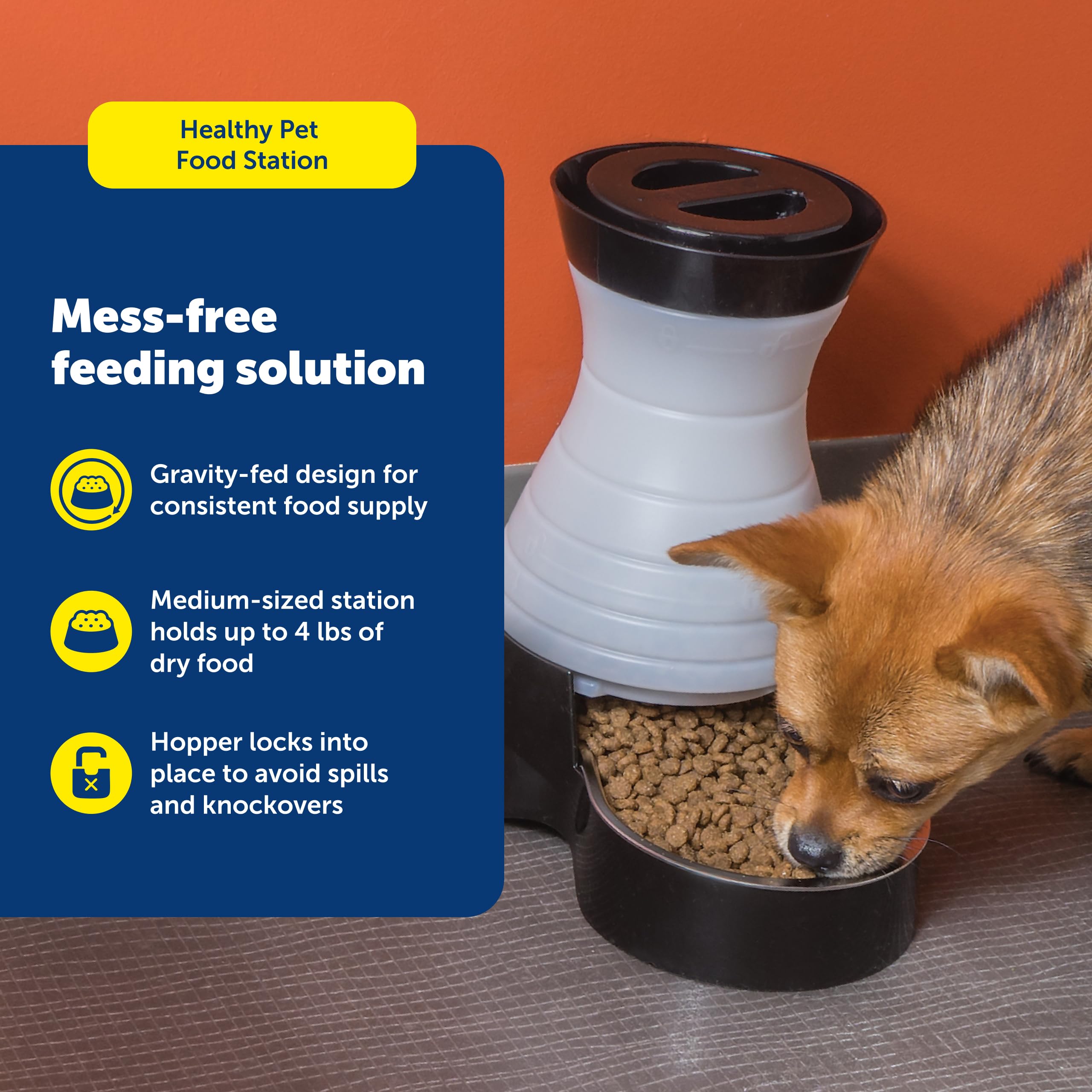 PetSafe Healthy Pet Food Station, 4 lb Gravity Feeder, Cats & Dogs, Medium
