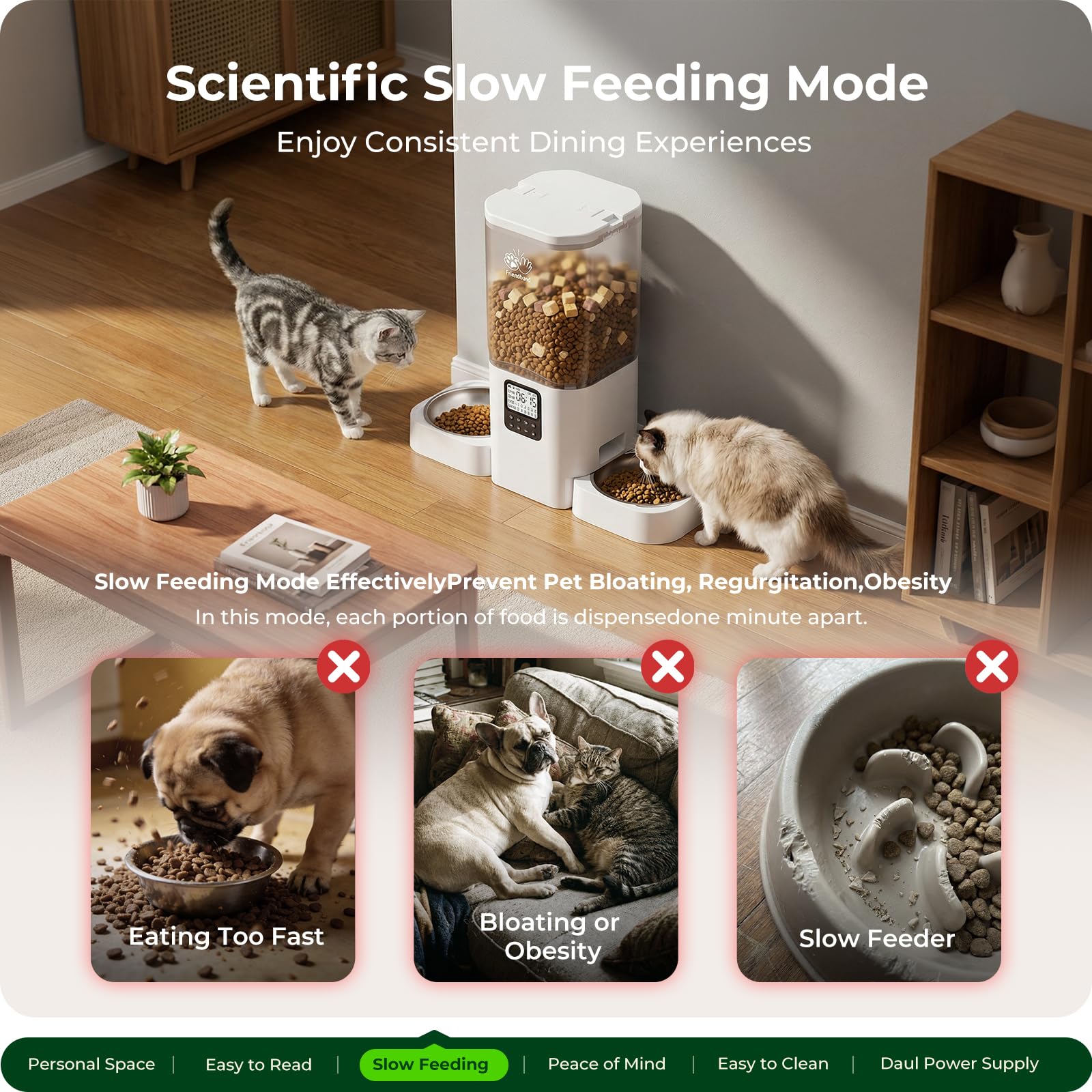 Frienhund Timed Automatic Cat Feeder 2 Cats with Slow Feed: Dual Automatic Dog Feeder with Information Visualization, Programmable Auto Cat Food Dispenser for Multiple Pets,Detachable for Clean-29 Cup