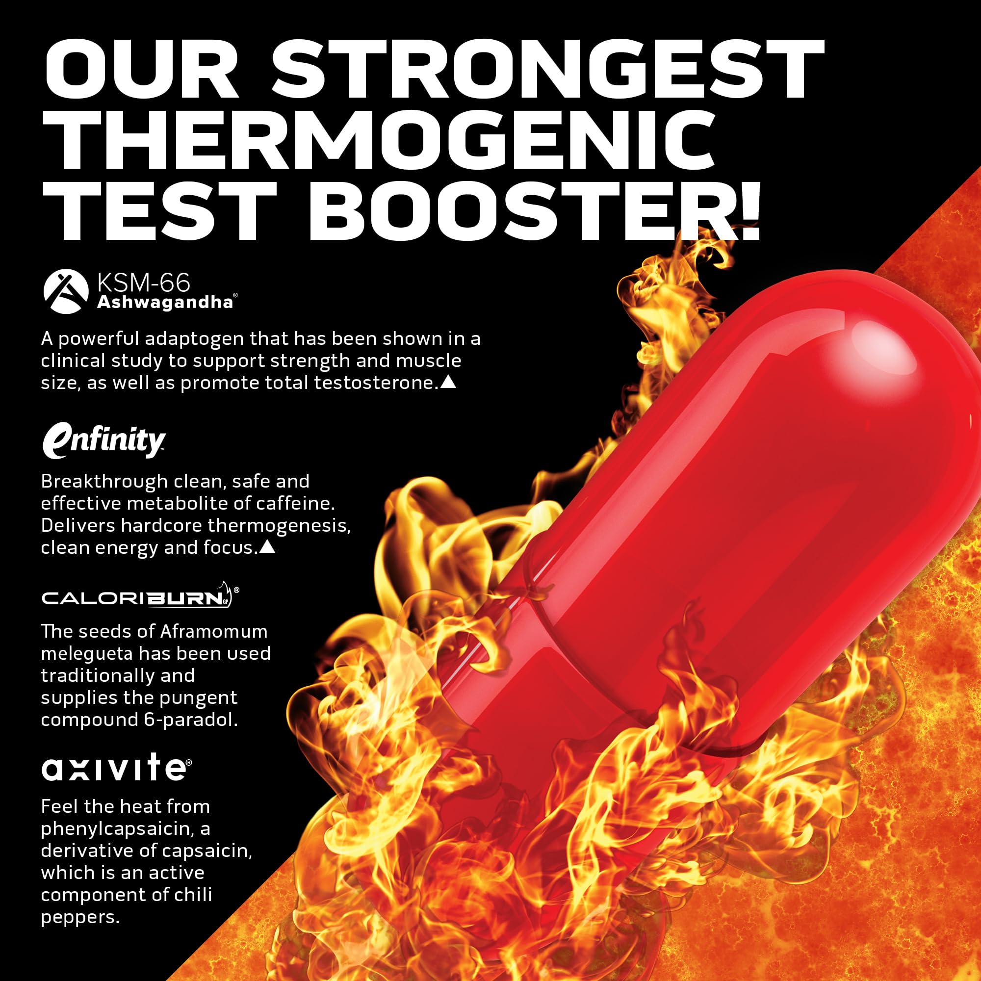 AlphaTest Thermo XTR | MuscleTech | Thermogenic Testosterone Booster| Muscle & Strength Builder for Men | Workout Supplement | 90 Capsules | 30 Servings