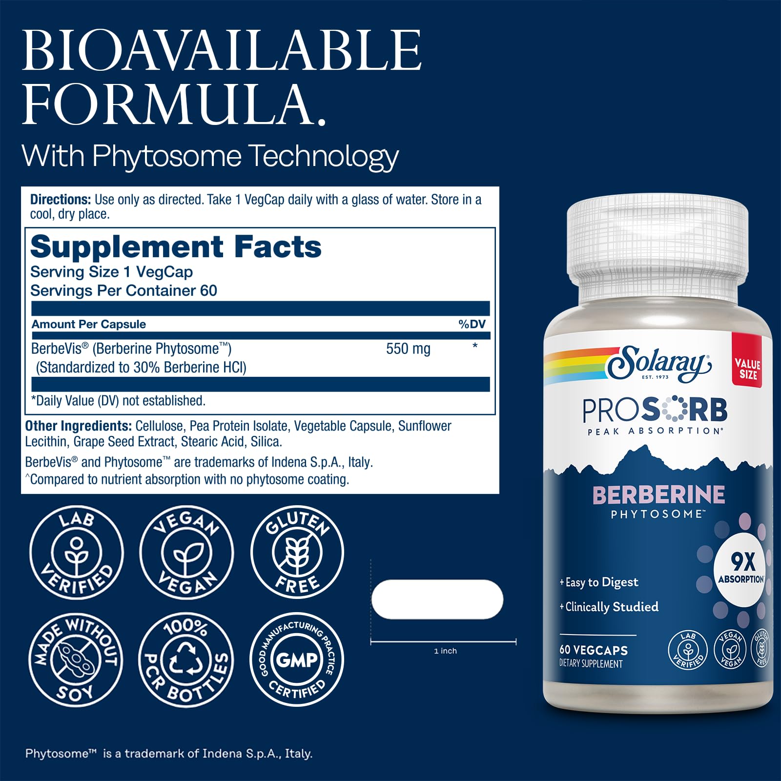 SOLARAY Berberine Phytosome - 9X Absorption and Easy-to-Digest - Standardized to 30% Berberine HCl - Vegan, Made Without Soy - 60-Day Guarantee - 60 Servings, 60 VegCaps