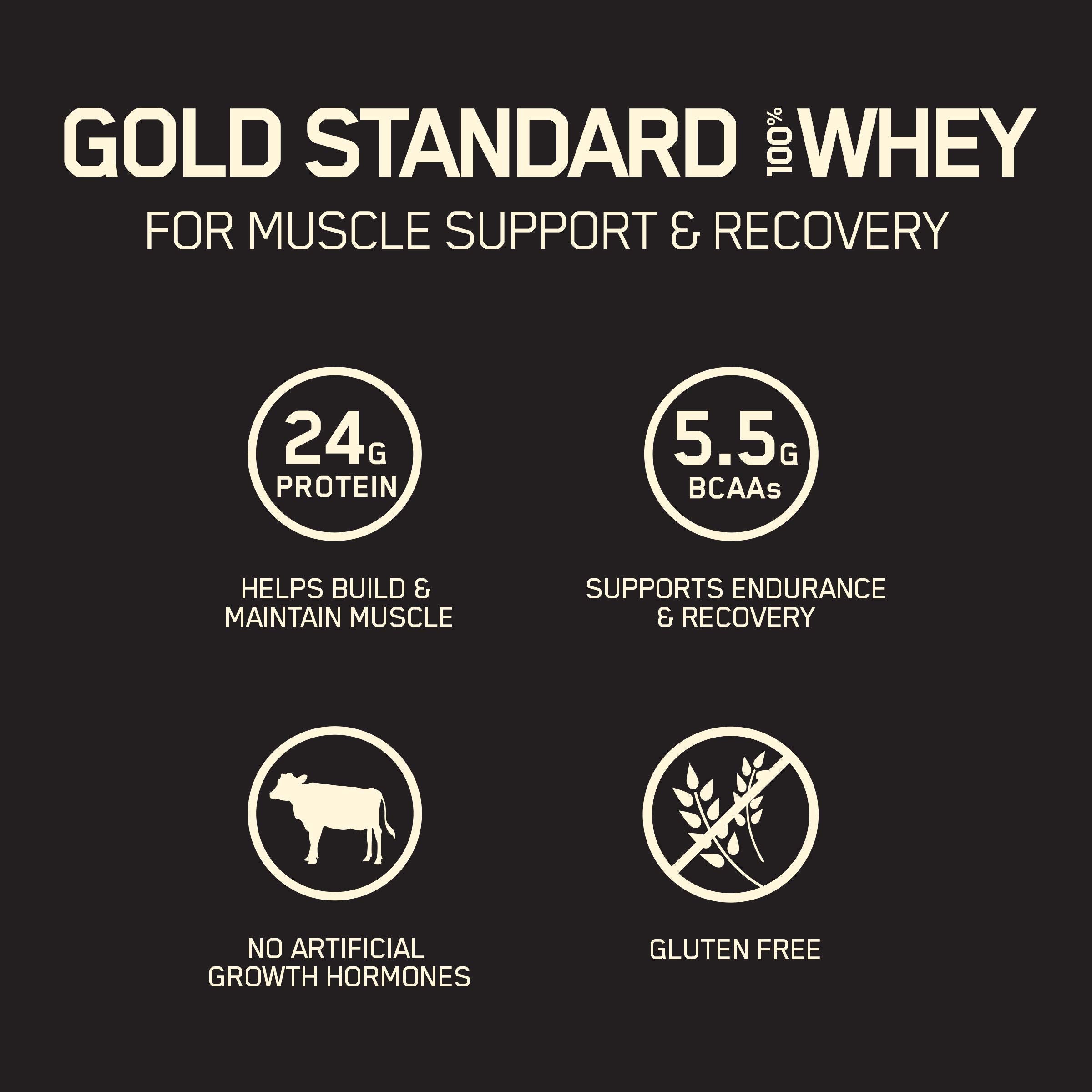 Optimum Nutrition 100% Gold Standard Whey Protein Powder: Double Rich Chocolate (5 Pound) with Micronized Creatine Monohydrate Powder, Unflavored (120 Servings) - Bundle Pack