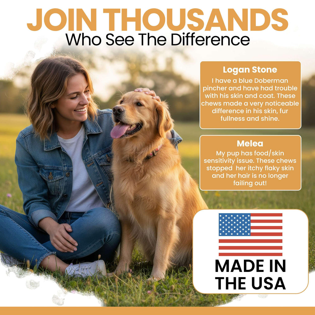 Salmon Oil for Dogs - Premium Fish Oil for Skin and Coat Health - Omega 3 Supplement - Supports Itchy Skin - 8 oz Liquid - Norwegian Dog Salmon Oil - Essential Dog Supplement