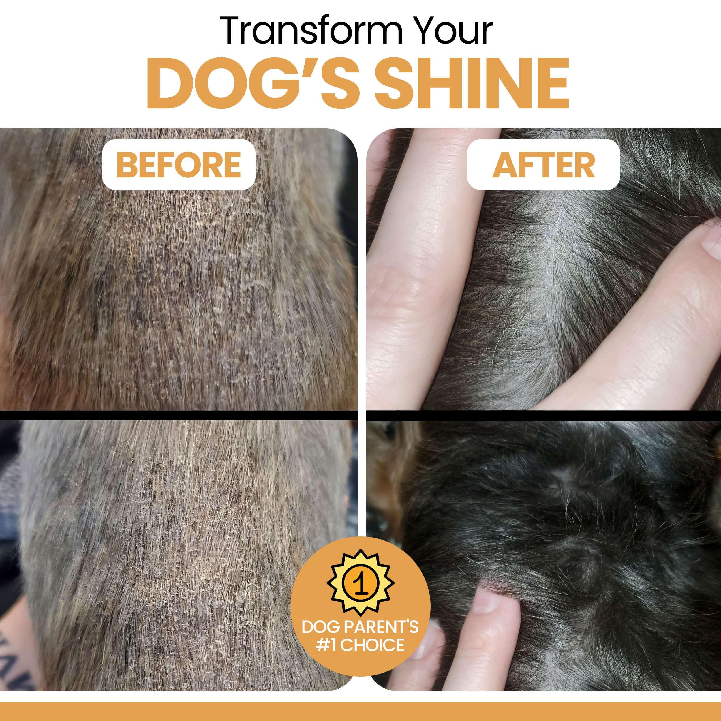 Salmon Oil for Dogs - Premium Fish Oil for Skin and Coat Health - Omega 3 Supplement - Supports Itchy Skin - 8 oz Liquid - Norwegian Dog Salmon Oil - Essential Dog Supplement