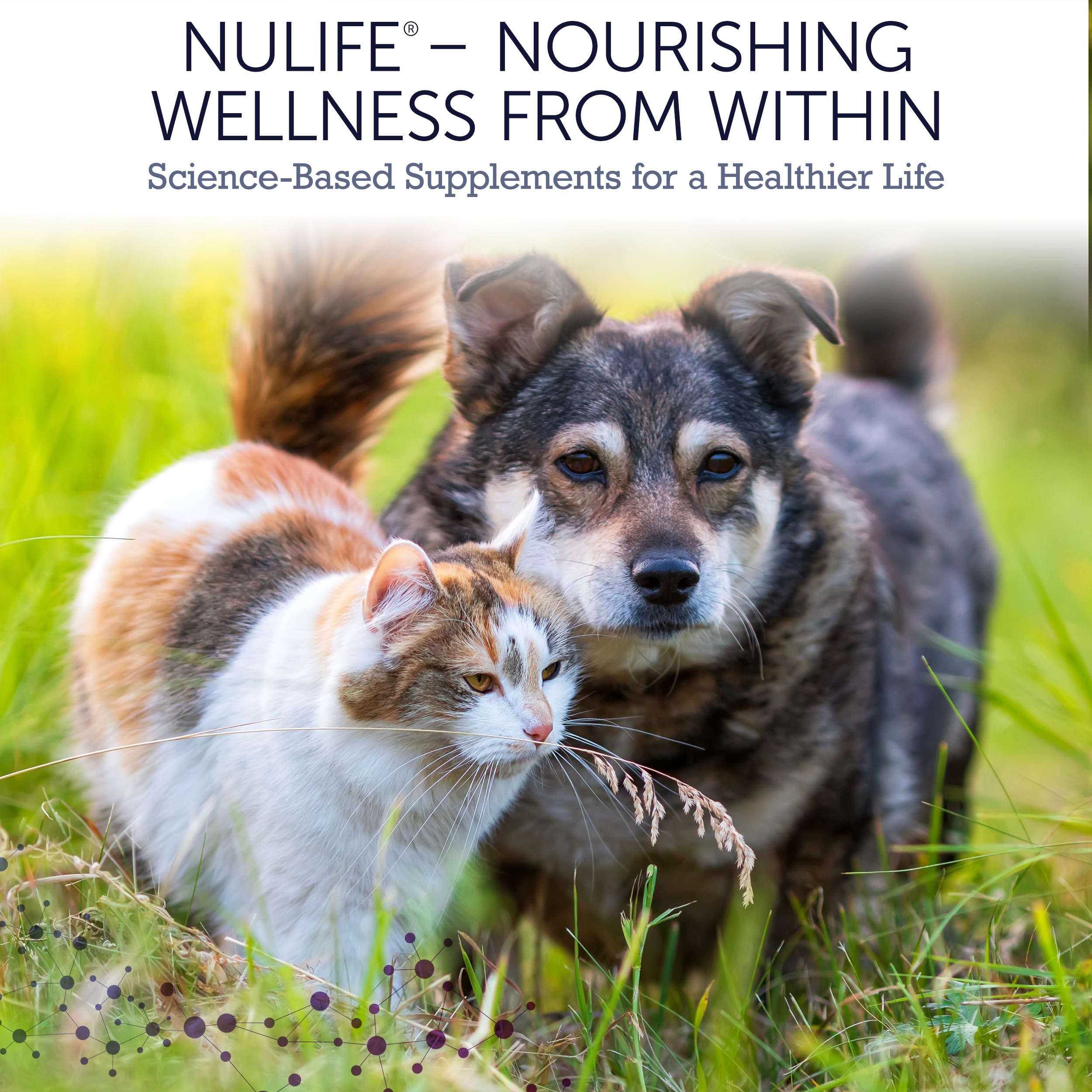 NuLife Hepato Support - Liver Support for Dogs & Cats w/Silymarin - 180ct