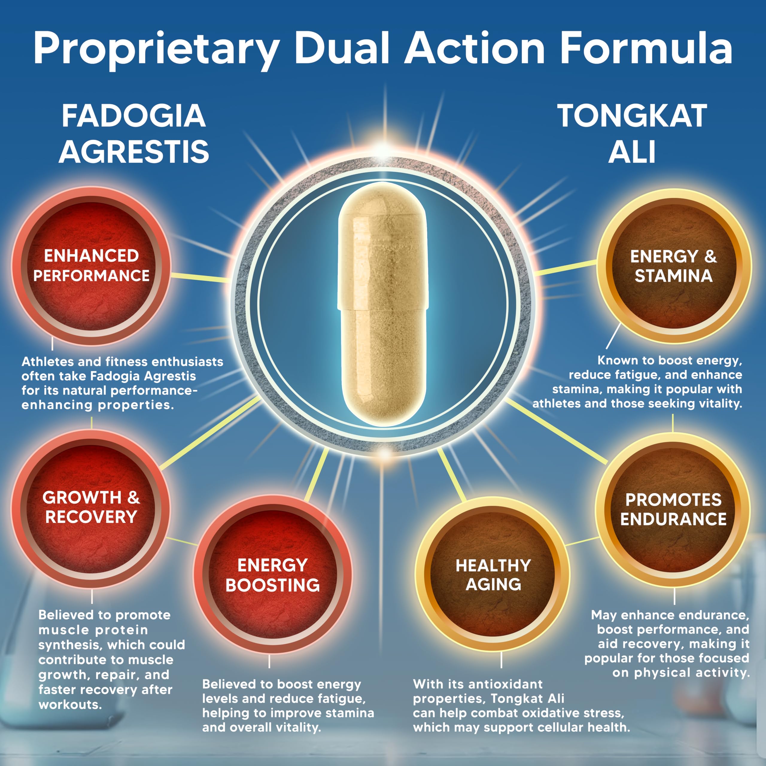 aSquared Nutrition Fadogia Agrestis 1000mg & Tongkat Ali 400mg - 120 Capsules - Fadogia Agrestis Extract Supplement and Powder Complex Pills