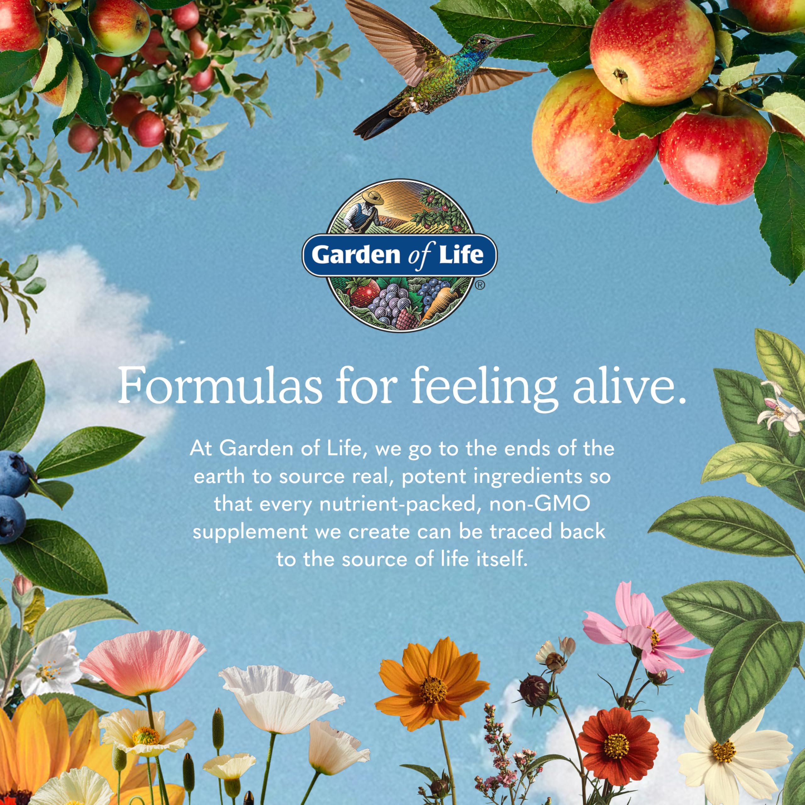 Garden of Life Dr. Formulated Advanced Omega Fish Oil, 1,290mg EPA, DHA & DPA in Triglyceride Form - Omega 3 Fish Oil Supplement for Heart Health & Brain Support, Non-GMO, Citrus Flavored, 60 Softgels