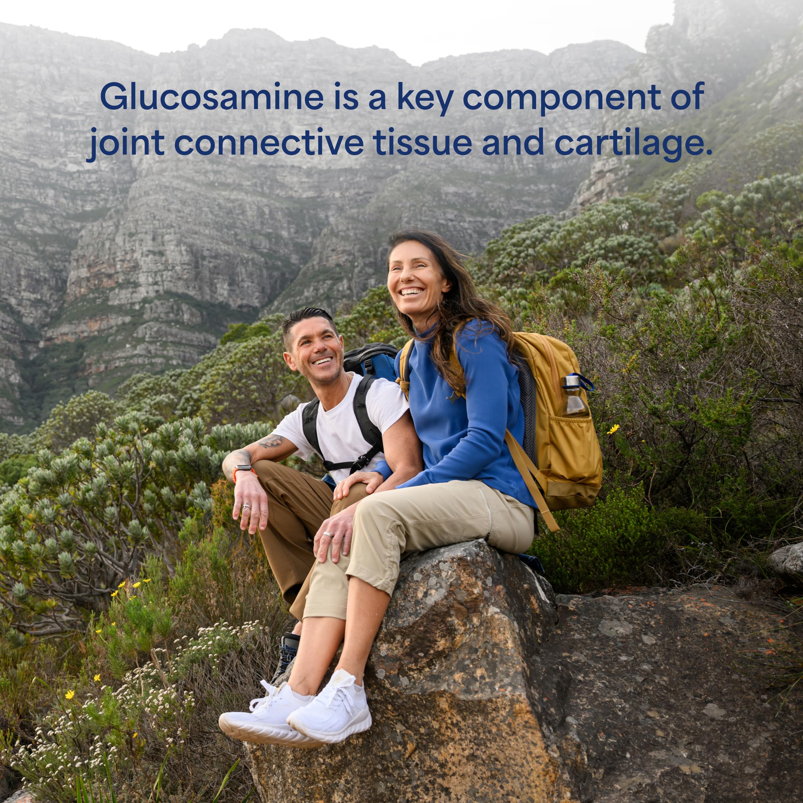 Puritan's Pride Joint Formula Glucosamine HCI for Men and Women 680mg, Dietary Supplement for Joint Health, 80 Day Supply, 240 Capsules